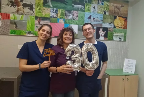 Clot Veterinaria_30 aniversario