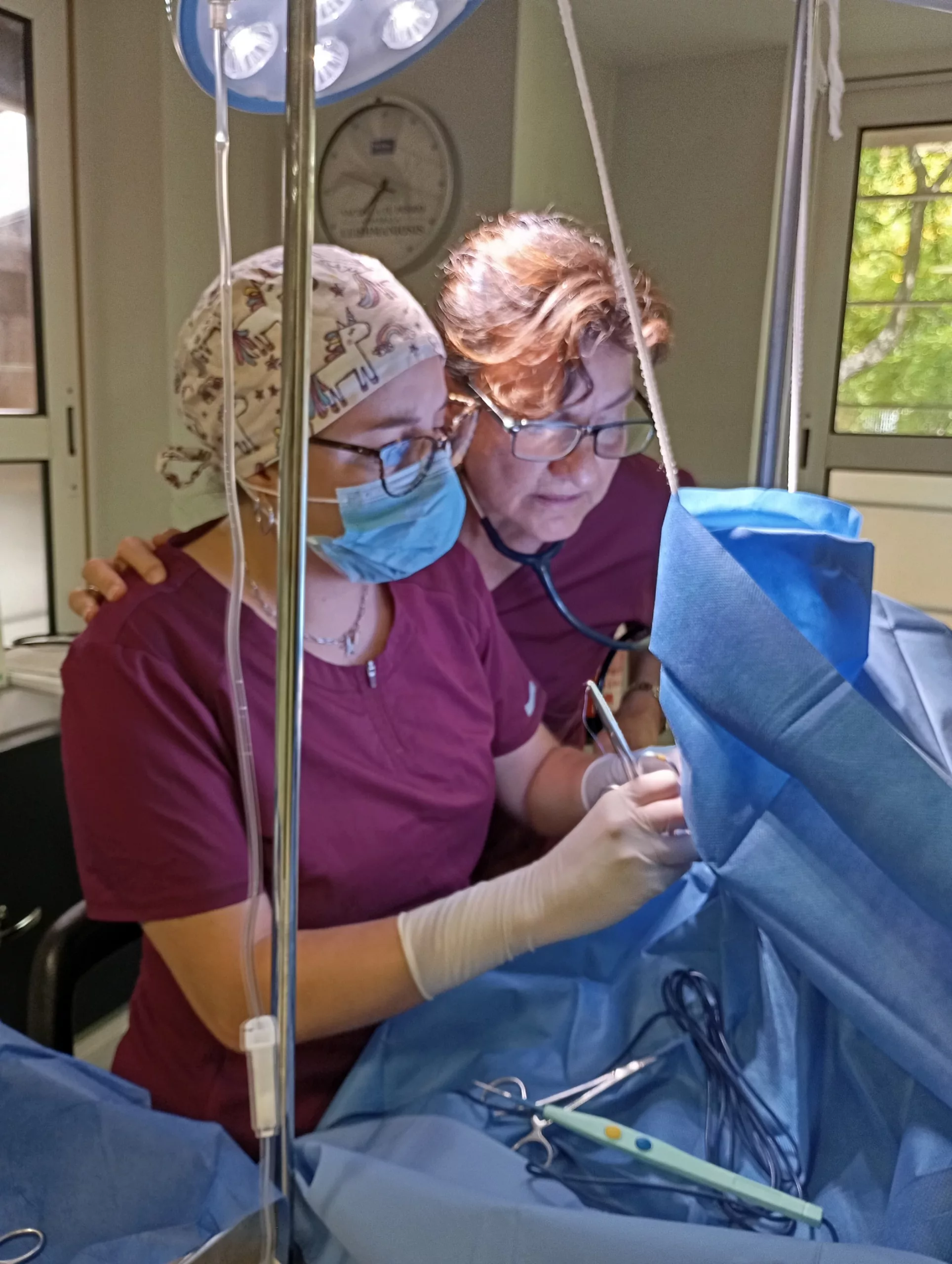 Síndrome Braquiocefálico Clot Veterinaria